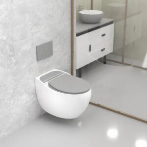 Wall Hung - Wall Mounted Toilets