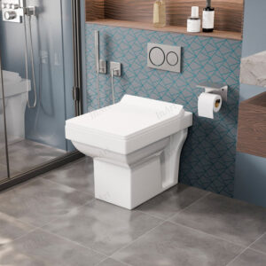 EWC Floor Mounted S-Trap Toilets