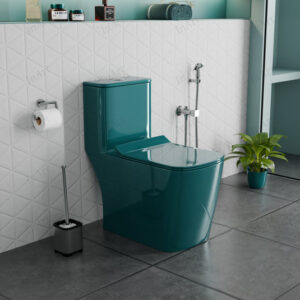 One Piece S-Trap Toilets