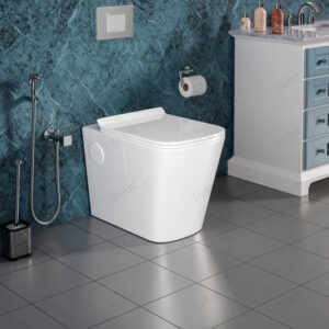 EWC Floor Mounted P-Trap Toilets